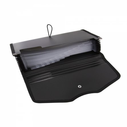 Папка-картотека Alingar, 260х140 мм, 900 мкм, на пуговице, пластик, 12 отделений, черный фото 2