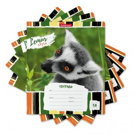 Тетрадь 18л., клетка, Erich Krause, скрепка, офсет, мелован. картон "Lemur Style" фото 2