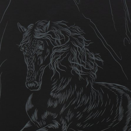 Гравюра с эффектом серебра Lori, А4, картонный конверт, "Андалузская лошадь" фото 3