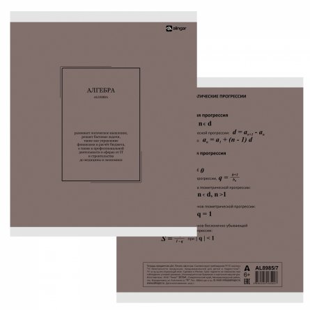 Комплект предметных тетрадей А5 48л., 10 предметов, со справ. матер, скрепка, пластиковая прозрачная обложка, блок офсет,Alingar "Classic NEW" фото 14