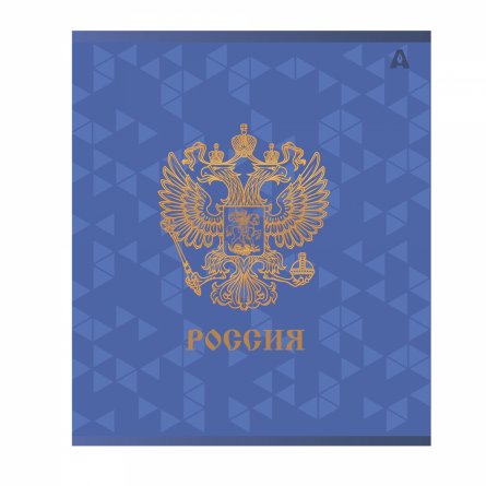 Тетрадь 48л, А5, клетка, Alingar, "Символика России", скрепка,мелованный картон (стандарт), выб УФ лак,  блок офсет, 5 дизайнов в пленке т/у фото 3