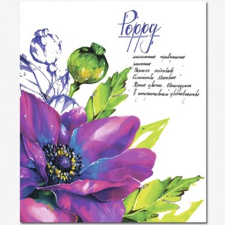 Тетрадь 48л., А5, клетка, Полином  "Ботаника", скрепка, мелованный картон, 4 дизайна фото 4