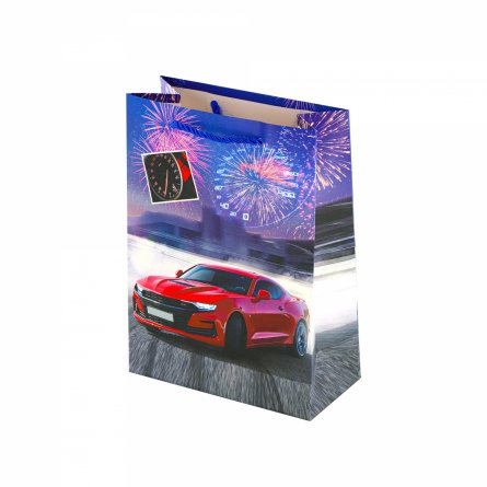Пакет подарочный бумажный Alingar, (М) 18х24х8,5 см, "Модное авто", ламинация, (4 дизайна в коробе) фото 1