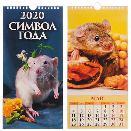 Календарь настенный перекидной с ригелем(2020) "Символ года. Вид 2" 165*340 фото 1