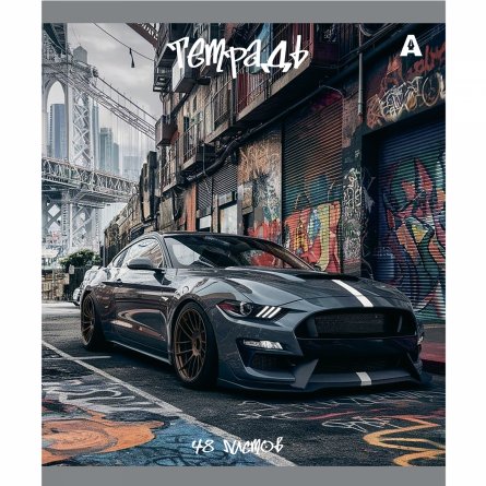 Тетрадь 48л., А5, клетка, Alingar "Car", скрепка, мелованый  картон ( стандарт), блок офсет, 5 дизайнов в пленке т/у фото 5