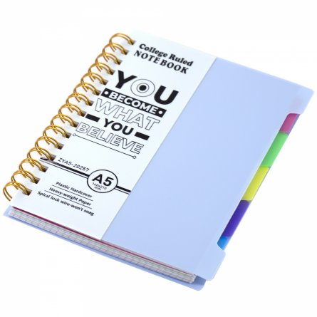 Тетрадь 120л., А5, клетка, Alingar, гребень, пластиковая обложка с информ. окном, цветные пластиковые разделители, ассорти 4 цвета фото 6