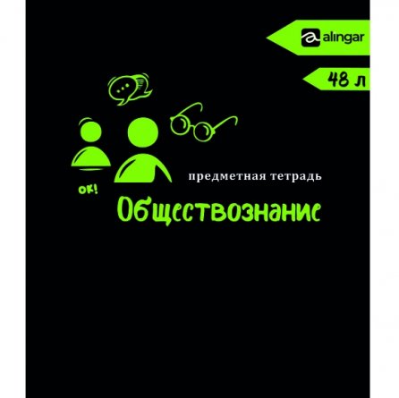 Комплект предметных тетрадей А5 48л., 12 предметов, Alingar "Неоновая классика", скрепка, мелованный картон, офсет 60 г/м2, 100% белизна фото 11