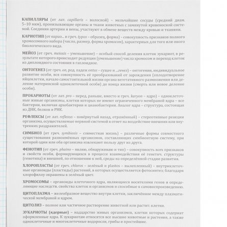 Тетрадь предметная 48л., А5, клетка, Проф-Пресс,"Капибара. Биология" скрепка, обложка мелованный картон, тиснение лён, со справ. материалом фото 2