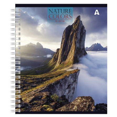 Тетрадь 96л., А5, клетка, Alingar, гребень, блок офсет, мелованный картон, "Nature colors", 2 дизайна в пленке т/у фото 3
