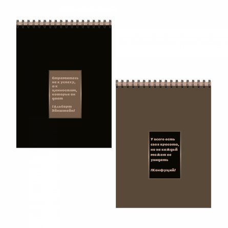 Блокнот А6, гребень, Alingar, мелованный картон Soft touch, 48 л., клетка,  "Мокко", ассорти фото 1