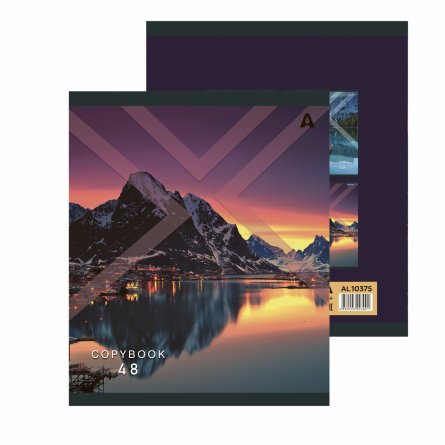 Тетрадь 48л., А5, клетка, Alingar "Необычный пейзаж", скрепка, мелованый  картон ( стандарт), блок офсет, 5 дизайнов в пленке т/у фото 2
