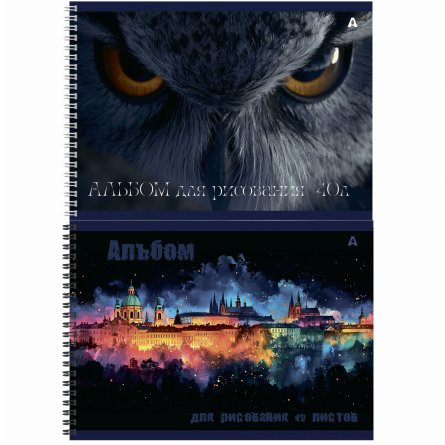 Альбом для рисования А4, 40л, Alingar, гребень,  мелованный картон(стандарт) 210г/м2, офсет 100 г/м2,, "Микс", 2 дизайна в пленке т/у фото 1