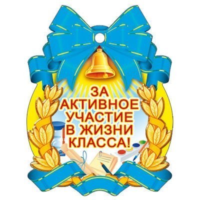 Медаль ТЦ Сфера "За активное участие в жизни класса!" фото 1
