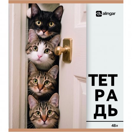 Тетрадь 48л., А5, клетка, Alingar "Собачки-кошечки", скрепка, мелованный  картон, блок офсет, 5 дизайнов в пленке т/у фото 4