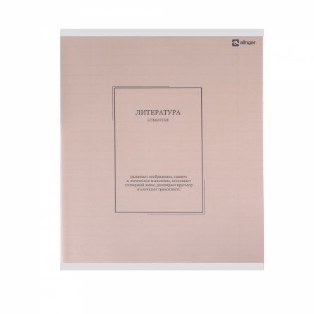 Комплект предметных тетрадей А5 48л., 10 предметов, со справ. матер, скрепка, пластиковая прозрачная обложка, блок офсет,Alingar "Classic NEW" фото 30