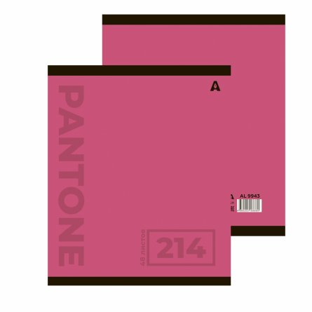 Тетрадь 48л., А5, клетка, Alingar "Pantone", скрепка, мелованый  картон ( стандарт), блок офсет, 5 дизайнов в пленке т/у фото 2