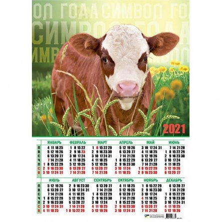 Календарь настенный листовой А2, Квадра "Символ года бык" 2021 г. фото 1