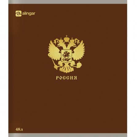 Тетрадь 48л., А5, клетка, Alingar "Россия", скрепка, мелованный  картон, блок офсет, 5 дизайнов в пленке т/у фото 2