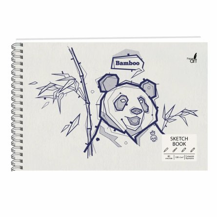 Скетчбук А5+ 80л.,"SKETCHBOOK.Panda book", 120 г/М2,  Канц-Эксмо,на спирали, 7БЦ, матовая ламинация, блок офсет белый фото 1
