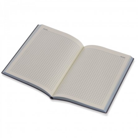 Записная книжка 80 л., А5, Yalong, "Iridecent", 7БЦ, клетка, soft touch, ассорти (пудровый розовый, голубой) фото 5