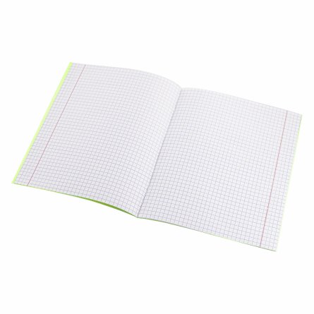 Тетрадь 12л., клетка, обложка цветной  пластик, Alingar, скрепка, блок офсет, 100% белизна, "Neon Зелёный" фото 3