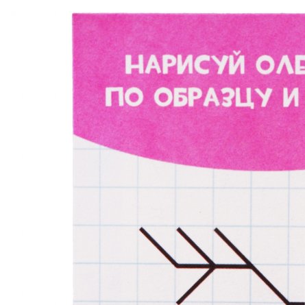 Пропись для левшей, 163 мм * 210 мм, А5, "Для левшей. В лесу", 16 стр., мелованная обложка, вертикальная, Проф - Пресс фото 3