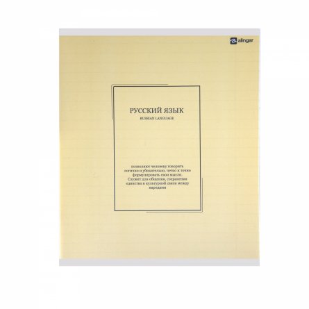 Комплект предметных тетрадей А5 48л., 10 предметов, со справ. матер, скрепка, пластиковая прозрачная обложка, блок офсет,Alingar "Classic NEW" фото 31