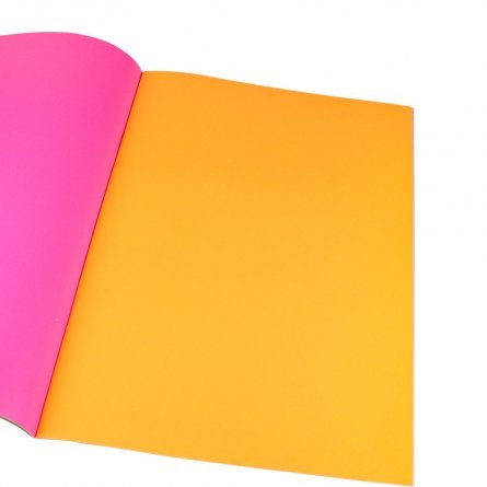 Бумага цветная Проф-Пресс, А4, мелованная, односторонняя, флуоресцентная, 8 листов, 8 цветов, на скрепке, "Фрукты на пляже-1" фото 3