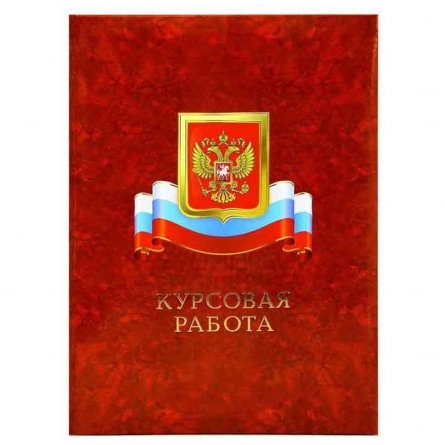 Папка для курсовых работ с рисунком герба и флага России, Имидж, А4, ламинированная фото 1