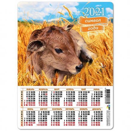 Календарь-магнит А5 Квадра "Символ года Бык" 2021 г. фото 1