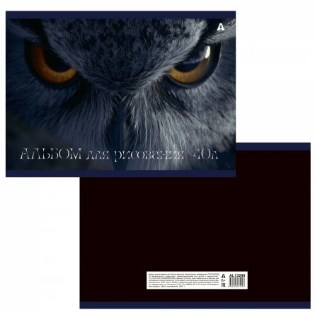 Альбом для рисования А4, 40л, Alingar, гребень,  мелованный картон(стандарт) 210г/м2, офсет 100 г/м2,, "Сова", 1 дизайн в пленке т/у фото 2