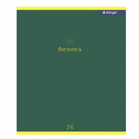 Тетрадь предметная  36л. А5 "Физика", клетка, со справочным материалом, скрепка, мелованный картон (стандарт), блок офсет, Alingar "Classic" фото 1