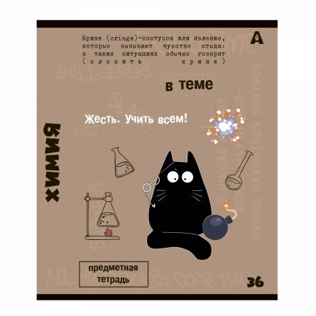 Тетрадь предметная  36л. А5 "Химия", клетка, со справочным материалом, скрепка, мелованный картон (стандарт), блок офсет, Alingar "Тема" фото 1