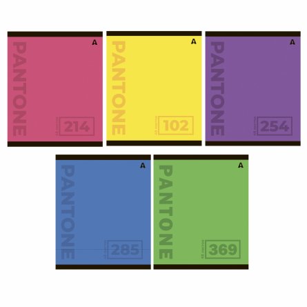 Тетрадь 48л., А5, клетка, Alingar "Pantone", скрепка, мелованый  картон ( стандарт), блок офсет, 5 дизайнов в пленке т/у фото 1