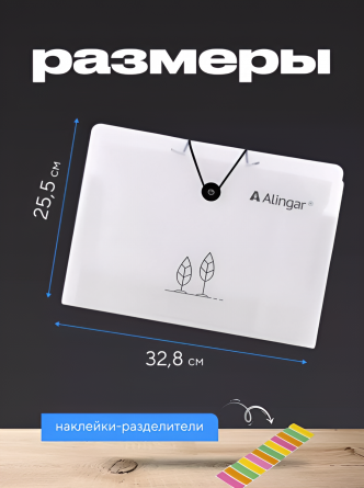 Папка на резинке A4, Alingar, "Tree", 325х235х20 мм, 500 мкм, 12 отделений, наклейки-разделители, прозрачная, матовая текстура фото 2
