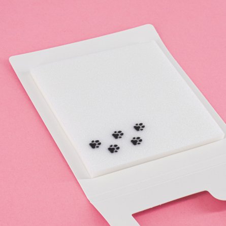 Прозрачные стикеры для заметок с клеевым краем, Alingar, 75 х 75 мм, 50 л., покрытие starlight touch, "Сat TRACKS", голубой, водонепрониц., европодвес фото 4