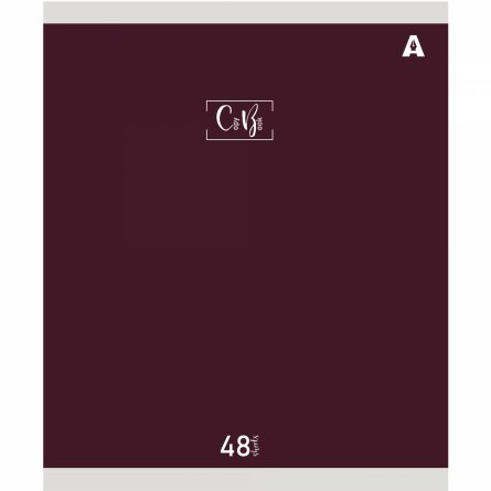 Тетрадь 48л., А5, клетка, Alingar "Style", скрепка, мелованый  картон ( стандарт), блок офсет, 5 дизайнов в пленке т/у фото 3