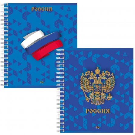 Тетрадь 96л., А5, клетка, Alingar, "Россия", гребень, блок офсет, мелованный картон, 2 дизайна в пленке т/у фото 1