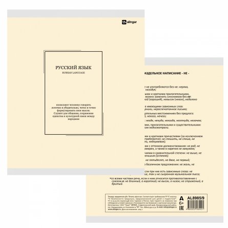 Комплект предметных тетрадей А5 48л., 10 предметов, со справ. матер, скрепка, пластиковая прозрачная обложка, блок офсет,Alingar "Classic NEW" фото 21