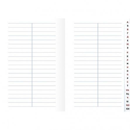 Тетрадь для записи трудных слов, 64л, А5, Апплика, линия, обложка мелованный картон,"Глобус" фото 2