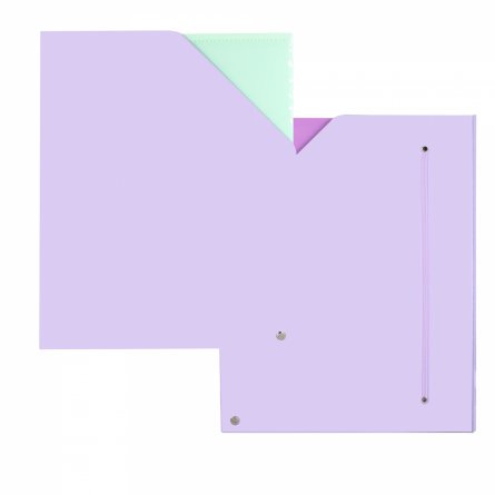 Архивная папка Alingar, 228*172 мм, пластик, 1500мкм, на резинке с 4 файлами, сиреневый фото 1