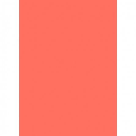 Бумага цветная для офиса А4, 20л., Неон "Коралловый", Alingar, 70г/м2, пленка т/у фото 2