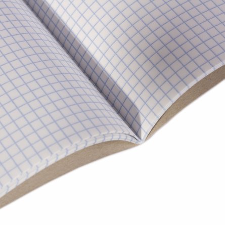 Тетрадь 48л., А5, клетка, Alingar "Brown Skin  metallic", скрепка, дизайнерский картон, тиснение, блок офсет, 100% белизна фото 4