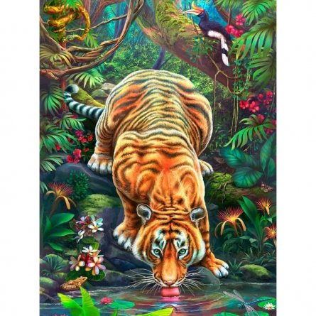 Картина по номерам Рыжий кот, 40х50 см, с акриловыми красками, 23 цвета, холст, "Хищник на водопое" фото 1