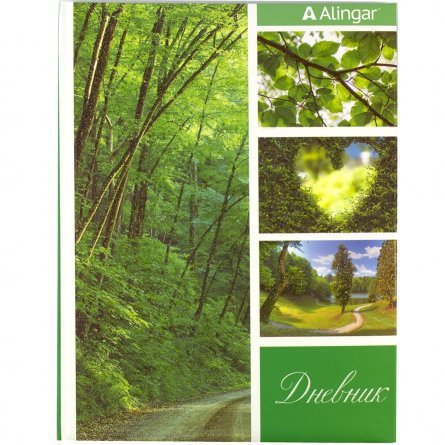 Дневник школьный Alingar 1-11 кл., 48л., 7БЦ, поролон, глиттер, ассорти, "Природа" фото 4