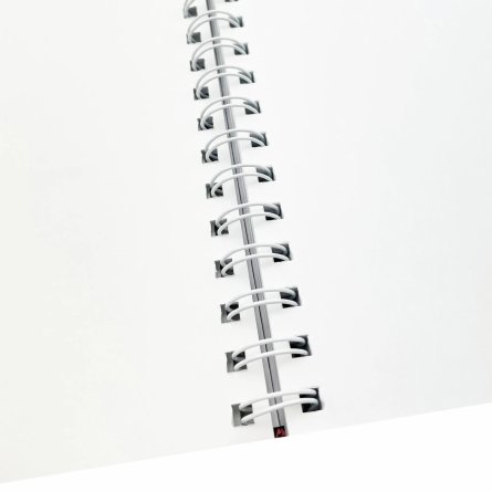Скетчбук А6+ 40л., "Весна", 100 г/м2, Канц-Эксмо, евроспираль, ламинация, жёсткая подложка, белый офсет фото 2