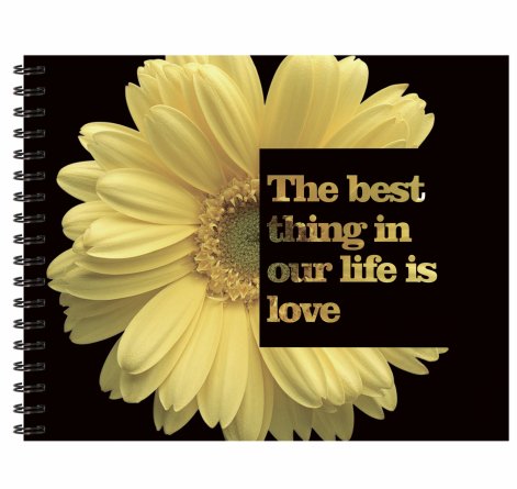 Блокнот А6+, гребень, Alingar, мелованный картон, Soft touch+ выб УФ лак, 48 л., клетка, "Цветы", ассорти фото 3