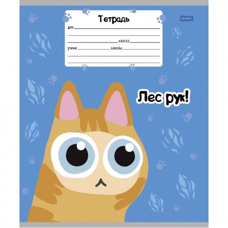 Тетрадь 18л., клетка, Проф-Пресс, скрепка, блок офсет, мелованная обложка, "Котобудни", 4 дизайна в коробе фото 4