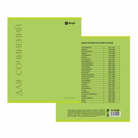 Тетрадь предметная "Для сочинений"48л., А5, линия, скрепка, мелованный картон (стандарт), блок офсет, Alingar фото 2