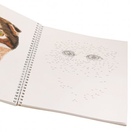 Скетчбук с пошаговыми уроками А4 32л., "Собаки и кошечки", 100 г/м2, Проф-Пресс, Рисуем от точки к точке гребень, ламинация, жёсткая подложка, белый офсет фото 3